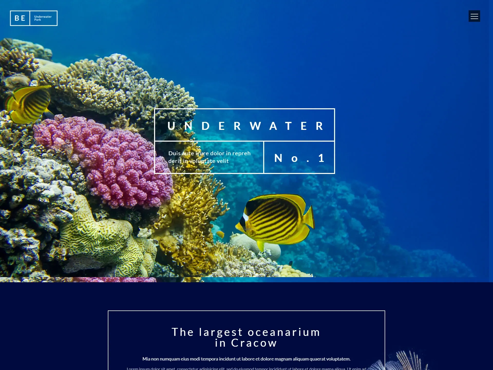 海洋水族馆展示网站