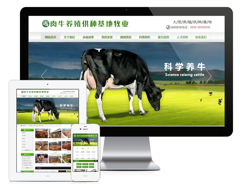 肉牛养殖供应基地