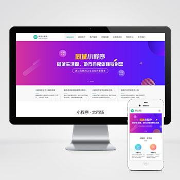 微信小程序开发代理展示销售 软件开发公司