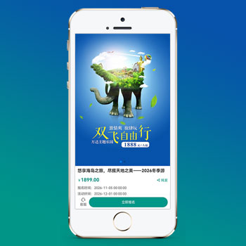 单页落地页推广网站 - 带复制微信号