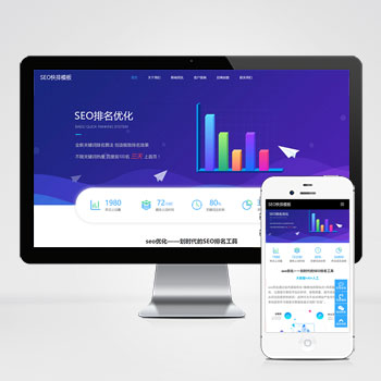 seo快排网站 大气的IT网络软件公司